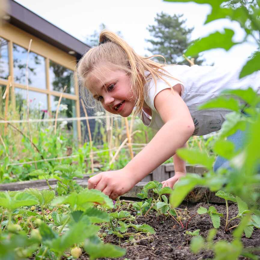 Meisje in de moestuin