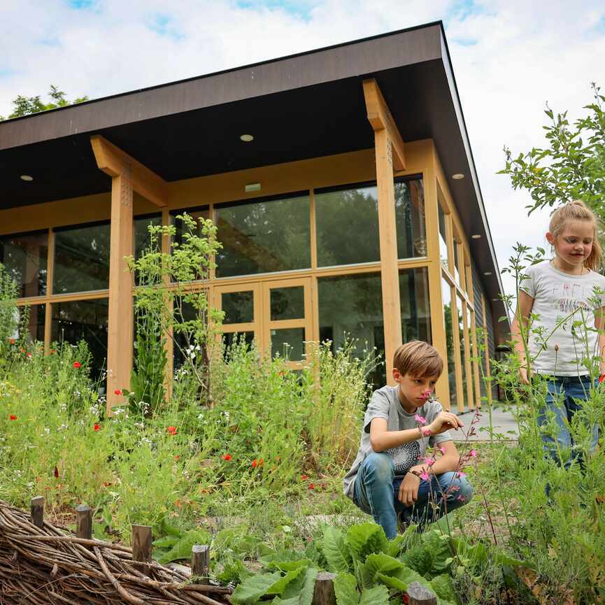 Kinderen in de bloementuin 3