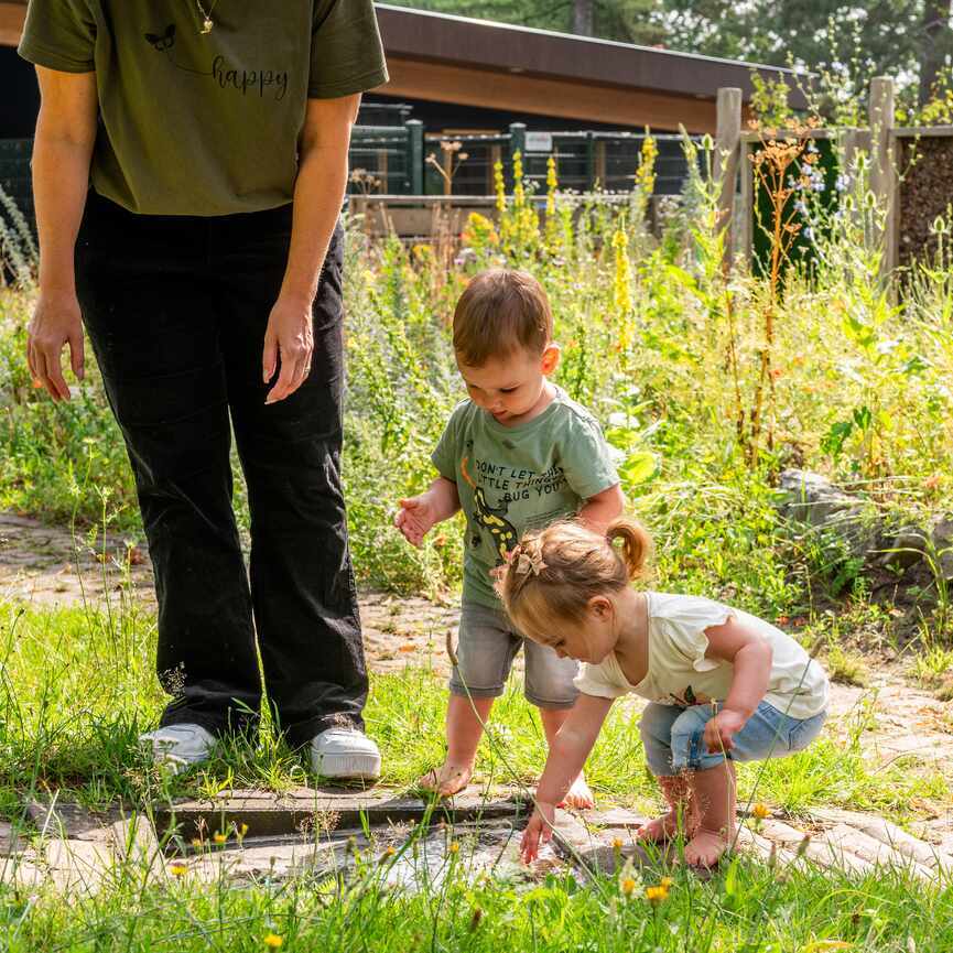 Vrouw bij 2 kinderen die met modder spelen