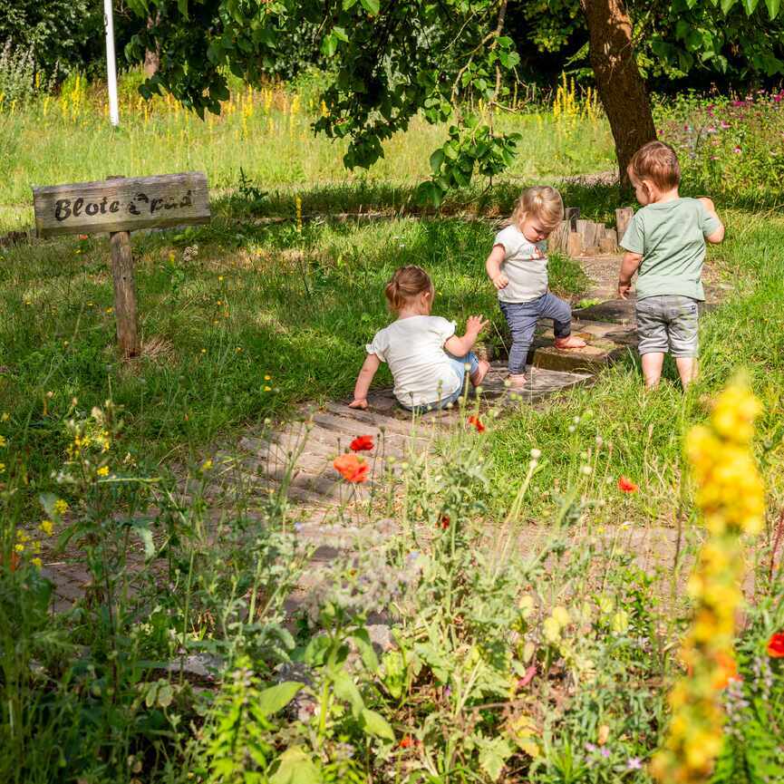 Idyllisch plaatje van 3 kleine kinderen bij het blotevoetenpad